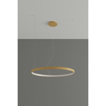 Thoro TH.216 - LED-Hängeleuchte RIO LED/30W/230V CRI 90 3000K d 55 cm golden