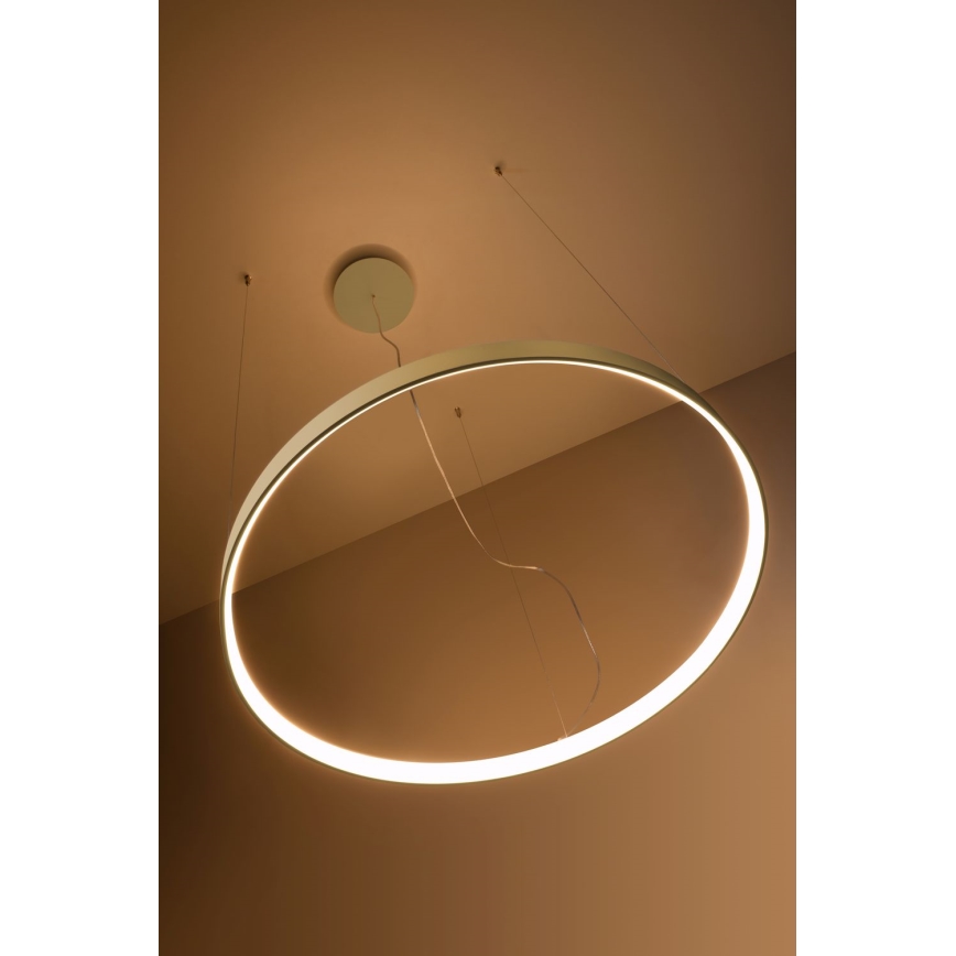 Thoro TH.216 - LED-Hängeleuchte RIO LED/30W/230V CRI 90 3000K d 55 cm golden