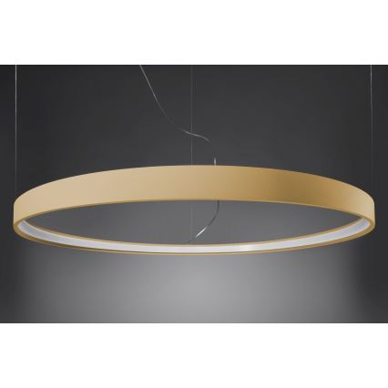 Thoro TH.216 - LED-Hängeleuchte RIO LED/30W/230V CRI 90 3000K d 55 cm golden