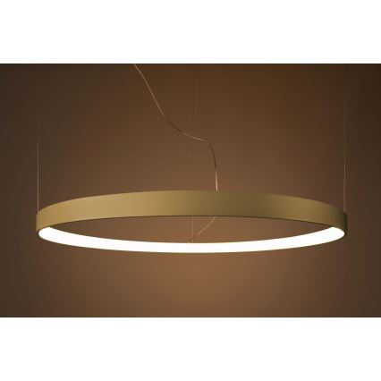 Thoro TH.216 - LED-Hängeleuchte RIO LED/30W/230V CRI 90 3000K d 55 cm golden