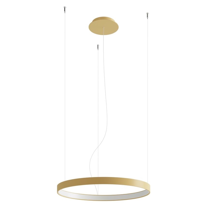 Thoro TH.216 - LED-Hängeleuchte RIO LED/30W/230V CRI 90 3000K d 55 cm golden
