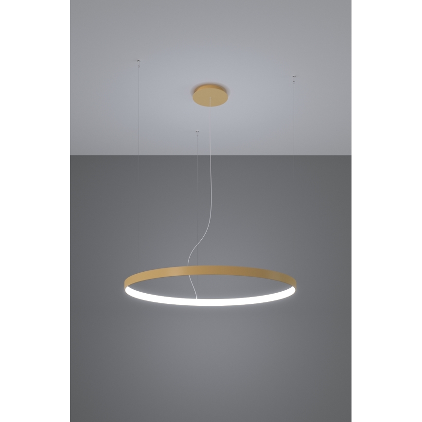 Thoro TH.217 - Lampadario LED a sospensione con filo RIO LED/30W/230V CRI 95 4000K diametro 55 cm oro