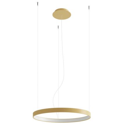 Thoro TH.217 - Lampadario LED a sospensione con filo RIO LED/30W/230V CRI 95 4000K diametro 55 cm oro