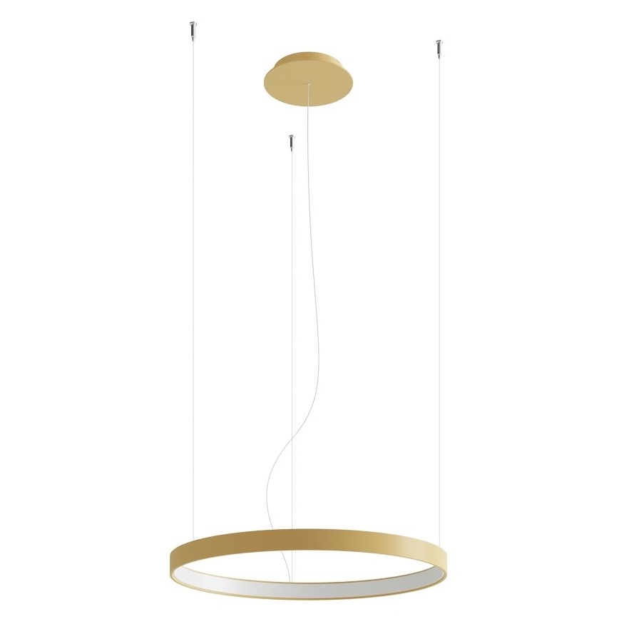 Thoro TH.217 - Lampadario LED a sospensione con filo RIO LED/30W/230V CRI 95 4000K diametro 55 cm oro