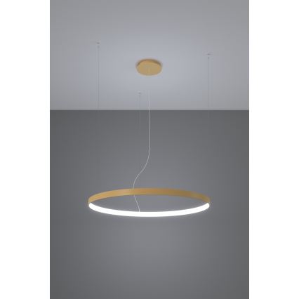 Thoro TH.217 - LED-Hängeleuchte RIO LED/30W/230V CRI 95 4000K d 55 cm golden