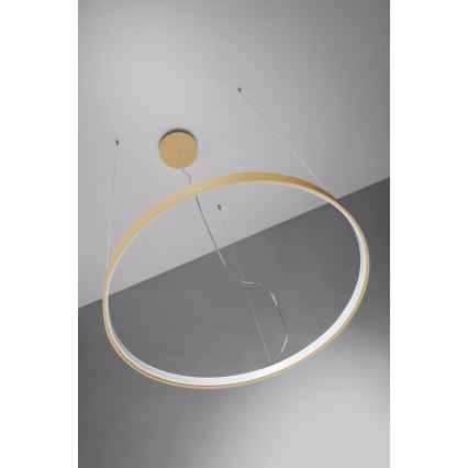 Thoro TH.217 - LED-Hängeleuchte RIO LED/30W/230V CRI 95 4000K d 55 cm golden