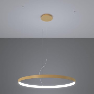 Thoro TH.217 - Suspension filaire RIO LED/30W/230V CRI 95 4000K d. 55 cm doré