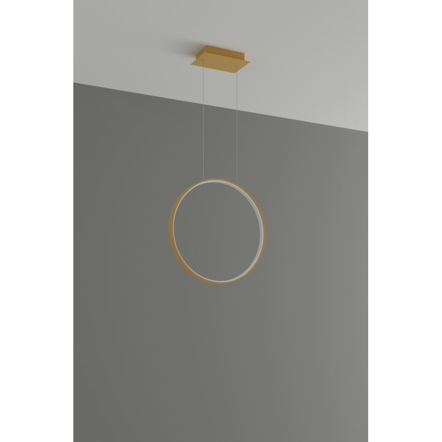 Thoro TH.220 - Lampadario LED a sospensione con filo RIO LED/30W/230V CRI 90 3000K diametro 55 cm oro