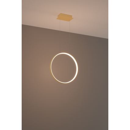 Thoro TH.220 - Lampadario LED a sospensione con filo RIO LED/30W/230V CRI 90 3000K diametro 55 cm oro