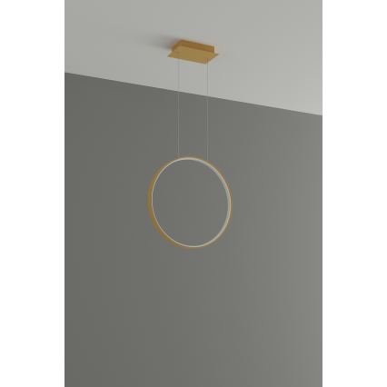 Thoro TH.220 - LED-Hängeleuchte RIO LED/30W/230V CRI 90 3000K d 55 cm golden