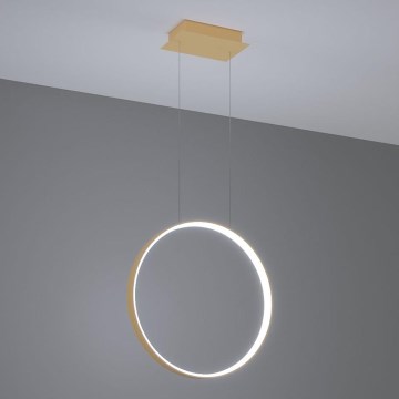 Thoro TH.221 - Suspension filaire RIO LED/30W/230V CRI 95 4000K d. 55 cm doré