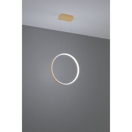 Thoro TH.221 - Suspension filaire RIO LED/30W/230V CRI 95 4000K d. 55 cm doré