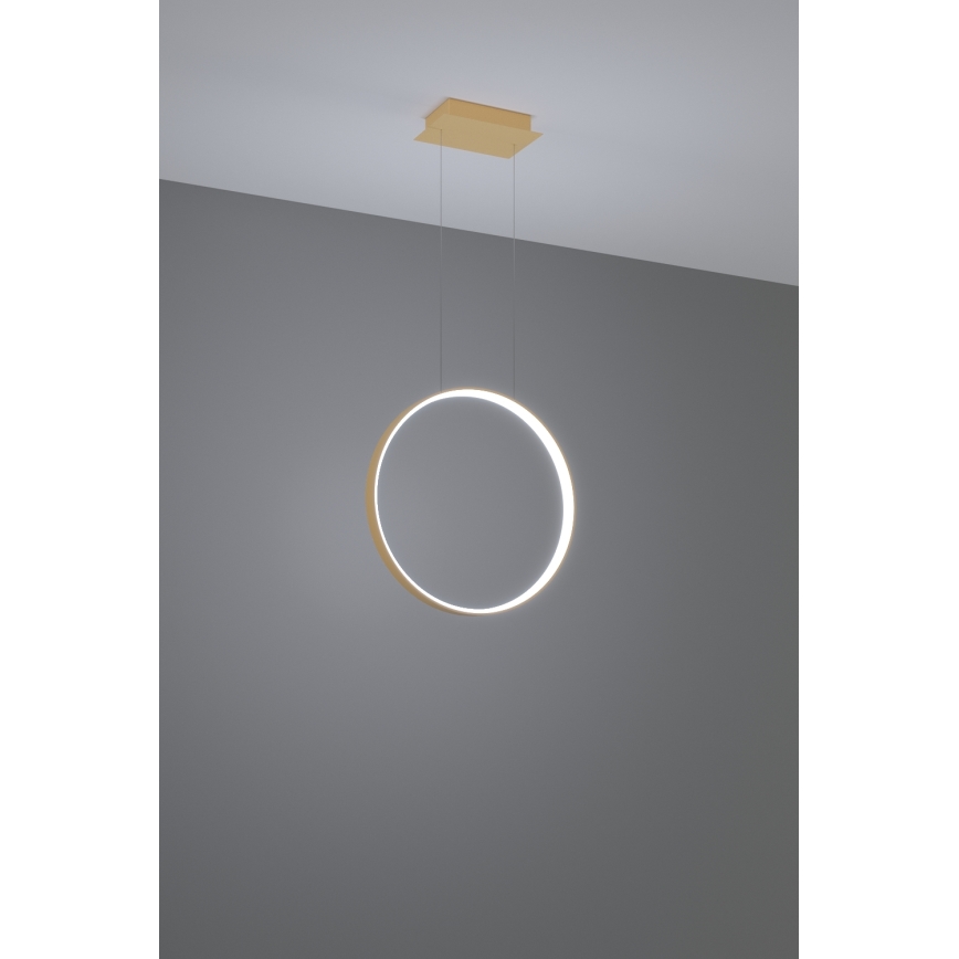 Thoro TH.221 - Suspension filaire RIO LED/30W/230V CRI 95 4000K d. 55 cm doré