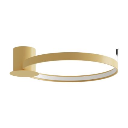Thoro TH.222 - LED-Deckenleuchte RIO LED/30W/230V CRI 90 3000K d 55 cm golden