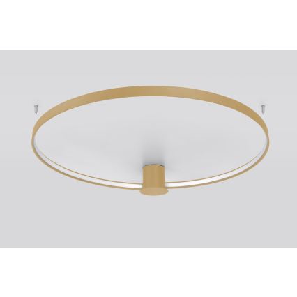 Thoro TH.222 - LED-Deckenleuchte RIO LED/30W/230V CRI 90 3000K d 55 cm golden
