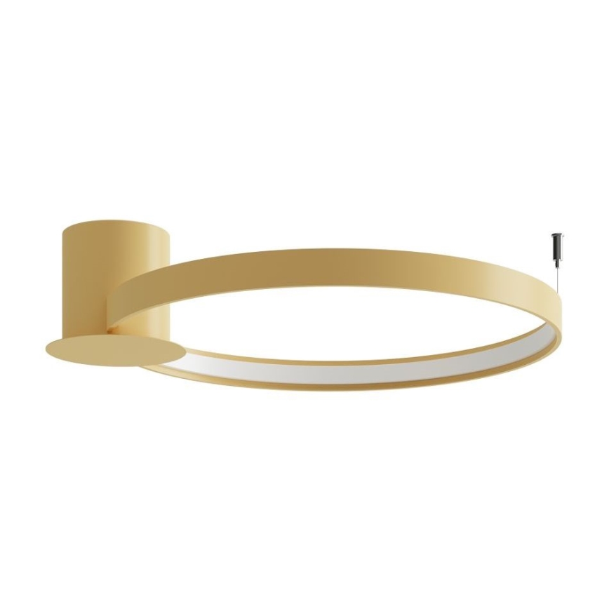 Thoro TH.222 - Plafoniera RIO a LED 21W/230V, CRI 98, 3000K, Ø 55 cm, finitura oro