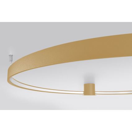 Thoro TH.222 - Plafoniera RIO a LED 21W/230V, CRI 98, 3000K, Ø 55 cm, finitura oro