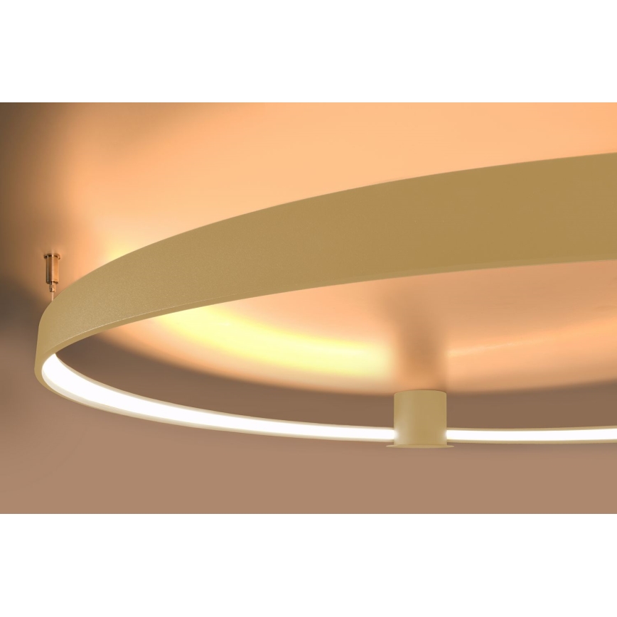 Thoro TH.222 - Plafoniera RIO a LED 21W/230V, CRI 98, 3000K, Ø 55 cm, finitura oro