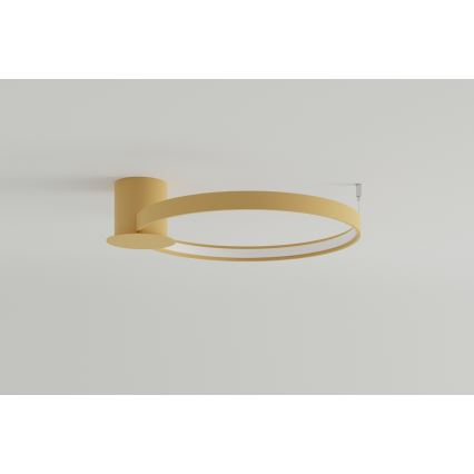 Thoro TH.223 - LED-Deckenleuchte RIO LED/30W/230V CRI 95 4000K d 55 cm golden