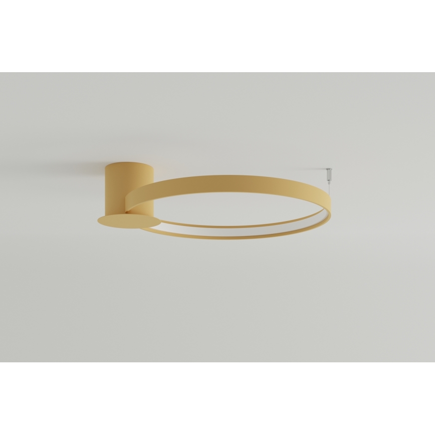 Thoro TH.223 - LED-Deckenleuchte RIO LED/30W/230V CRI 95 4000K d 55 cm golden