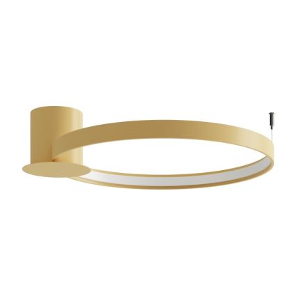 Thoro TH.223 - LED-Deckenleuchte RIO LED/30W/230V CRI 95 4000K d 55 cm golden