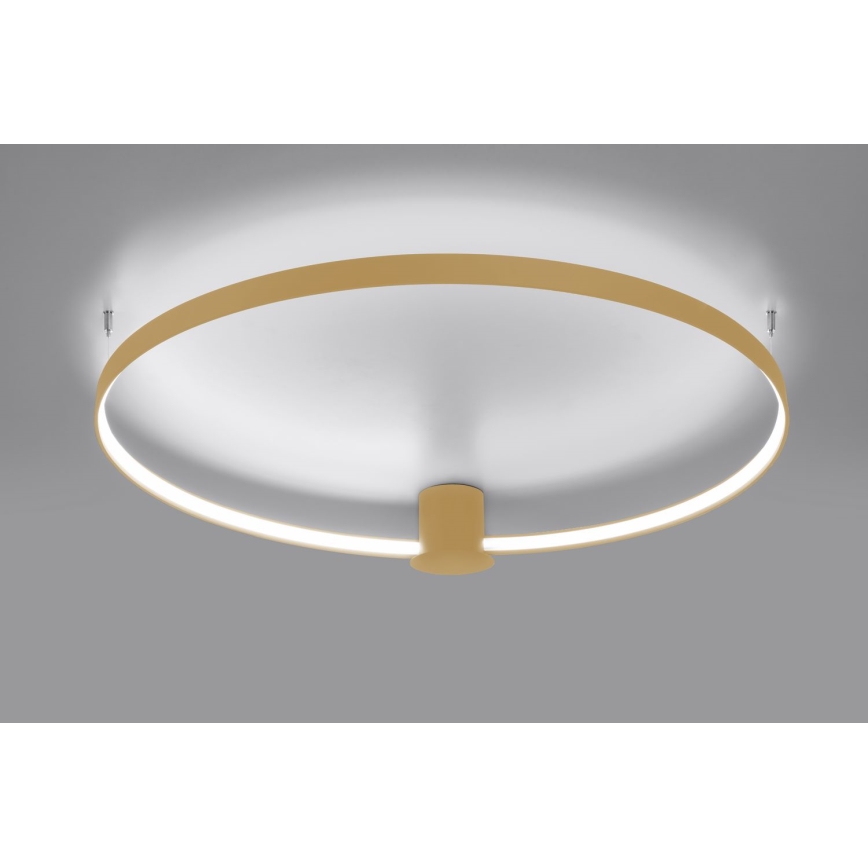 Thoro TH.223 - LED-Deckenleuchte RIO LED/30W/230V CRI 95 4000K d 55 cm golden