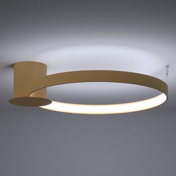 Thoro TH.223 - Plafoniera LED RIO LED/30W/230V CRI 95 4000K diametro 55 cm oro