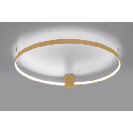 Thoro TH.223 - Plafoniera LED RIO LED/30W/230V CRI 95 4000K diametro 55 cm oro