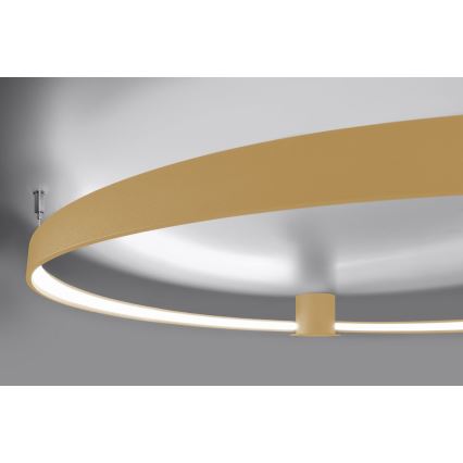 Thoro TH.223 - Plafoniera LED RIO LED/30W/230V CRI 95 4000K diametro 55 cm oro