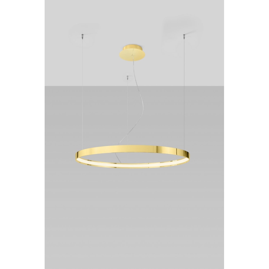 Thoro TH.246 - Lampadario LED a sospensione con filo RIO LED/50W/230V CRI 90 3000K diametro 78 cm oro