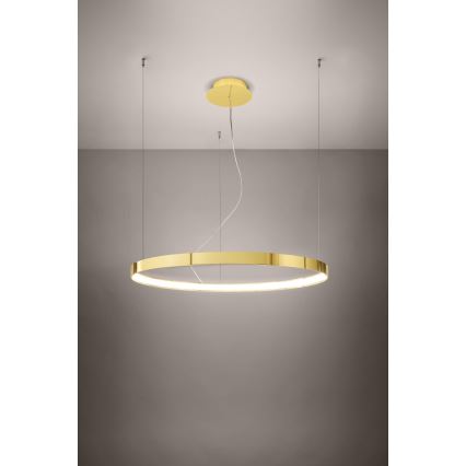 Thoro TH.246 - Lampadario LED a sospensione con filo RIO LED/50W/230V CRI 90 3000K diametro 78 cm oro