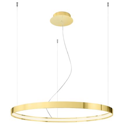 Thoro TH.246 - Lampadario LED a sospensione con filo RIO LED/50W/230V CRI 90 3000K diametro 78 cm oro