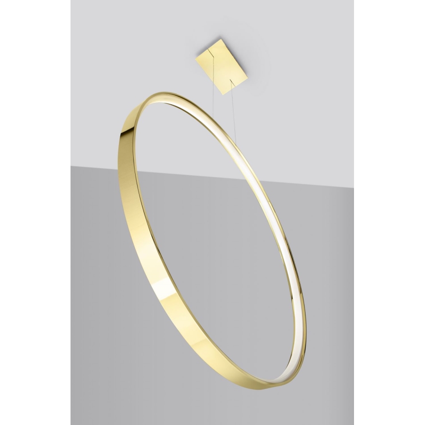 Thoro TH.248 - Lampadario LED a sospensione con filo RIO LED/50W/230V CRI 90 3000K diametro 78 cm oro