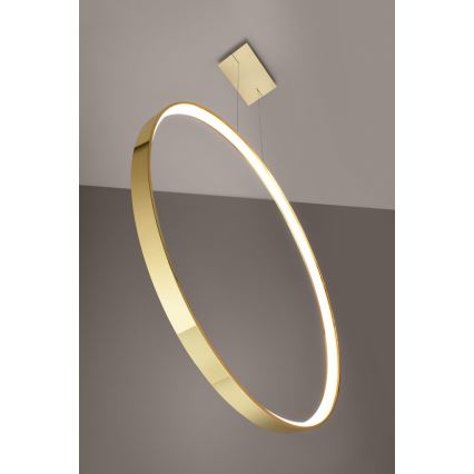 Thoro TH.248 - Lampadario LED a sospensione con filo RIO LED/50W/230V CRI 90 3000K diametro 78 cm oro