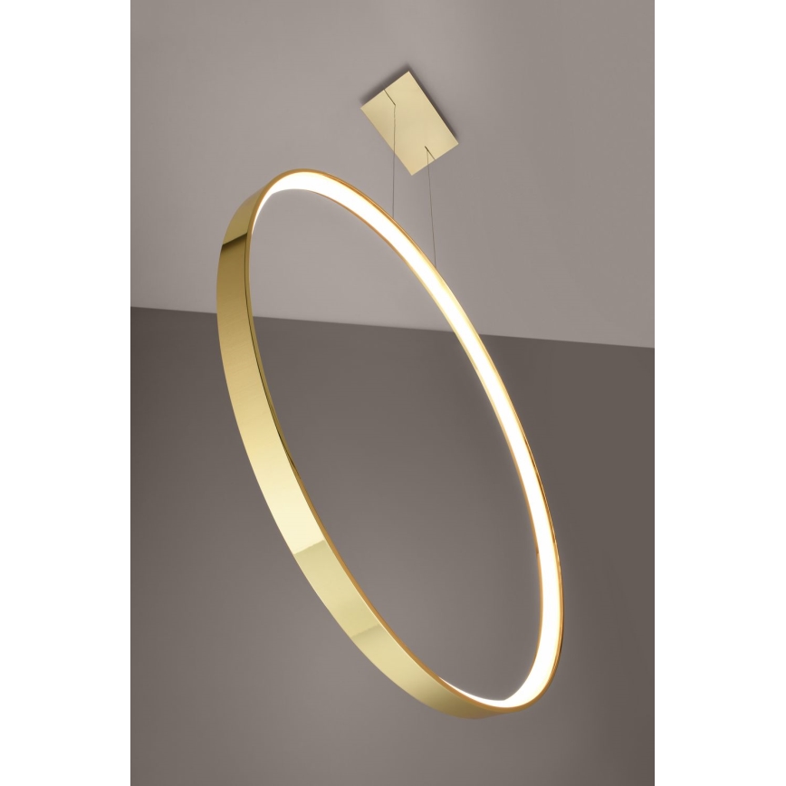 Thoro TH.248 - Lampadario LED a sospensione con filo RIO LED/50W/230V CRI 90 3000K diametro 78 cm oro