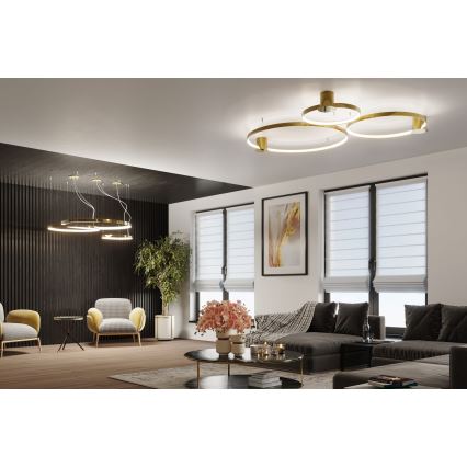 Thoro TH.252 - LED-Deckenleuchte RIO LED/50W/230V CRI 90 3000K d 78 cm golden