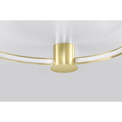 Thoro TH.252 - LED-Deckenleuchte RIO LED/50W/230V CRI 90 3000K d 78 cm golden