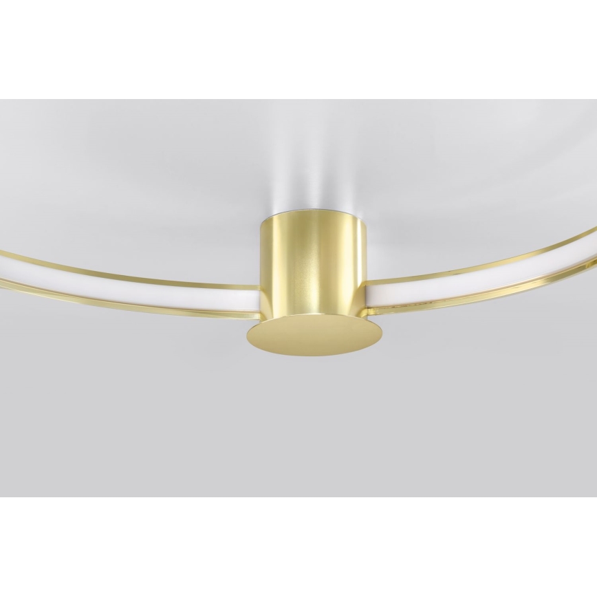 Thoro TH.252 - LED-Deckenleuchte RIO LED/50W/230V CRI 90 3000K d 78 cm golden