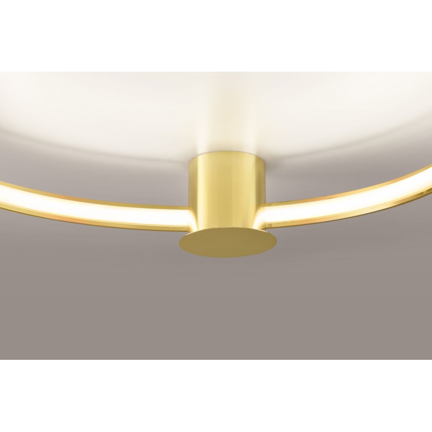 Thoro TH.252 - LED-Deckenleuchte RIO LED/50W/230V CRI 90 3000K d 78 cm golden