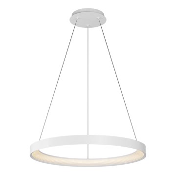 Top Light - Dimmbare LED-Hängeleuchte ORBIT LED/40W/230V 3000-6500K d 50 cm weiß + Fernbedienung