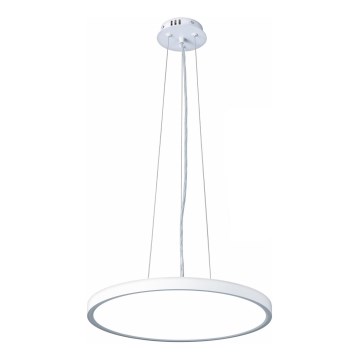 Top Light - Lampadario a sospensione con filo LED dimmerabile REVIT LED/36W/230V 3000-6500K diametro 40 cm bianco + telecomando