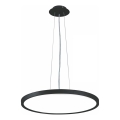 Top Light - Lampadario a sospensione con filo LED dimmerabile REVIT LED/50W/230V 3000-6500K diametro 60 cm nero + telecomando