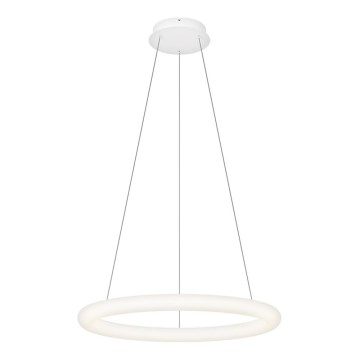 Top Light - LED-dimmbare Pendelleuchte an Seil RINGO LED/40W/230V 3000-6500K weiß + Fernbedienung