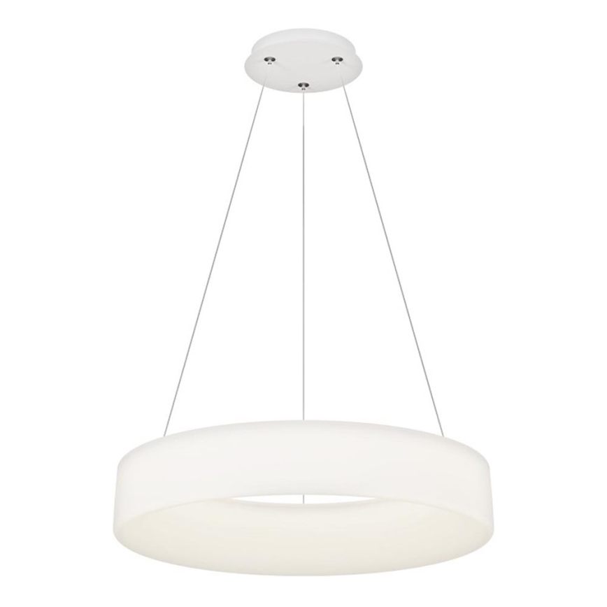Top Light - LED-dimmbare Pendelleuchte an Stahlseil HALO LED/60W/230V 3000-6500K Ø 60 cm + Fernbedienung