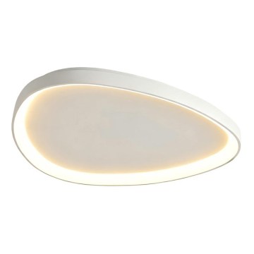 Top Light - Plafoniera LED dimmerabile ECLIPSE LED/55W/230V 3000-6500K Ø 60 cm bianca + telecomando