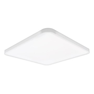 Top Light - Plafoniera LED dimmerabile REVIT LED/50W/230V 3000-6500K 50x50 cm bianco + telecomando