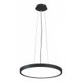 Top Light - Suspension filaire à intensité variable REVIT LED/36W/230V 3000-6500K d. 40 cm noir + télécommande