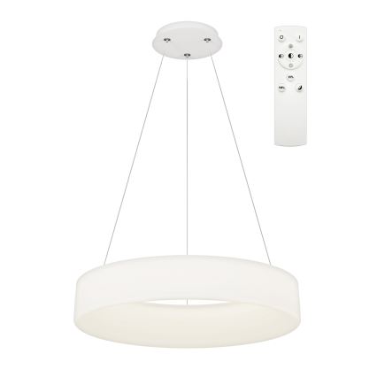 Top Light - HALO, suspension LED dimmable sur câble, 60 W, 230 V, 3000–6500 K, Ø 60 cm + télécommande