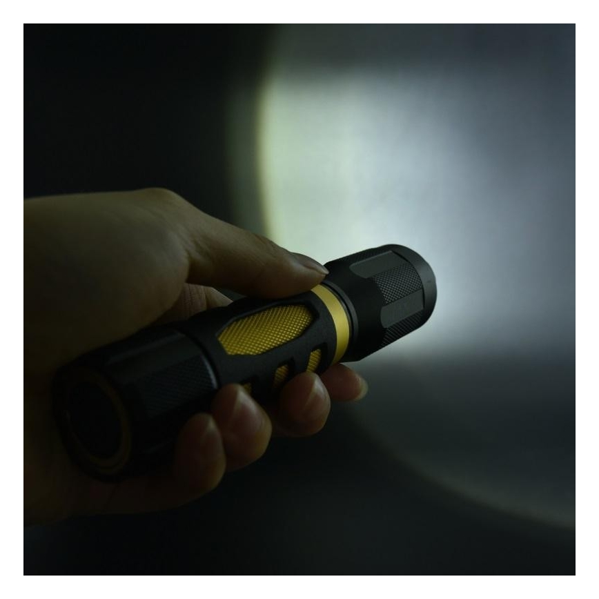 Torcia a LED LED/5W/3xAAA