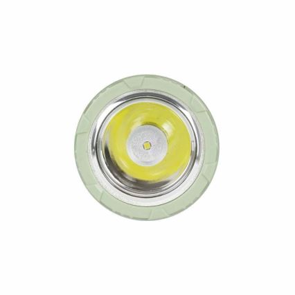 Torcia LED ricaricabile LED/1W/230V 330 lucente 1000 mAh